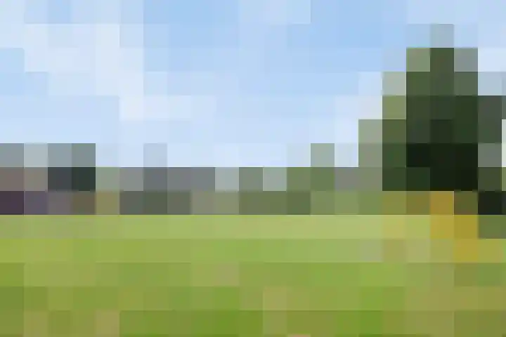 Valderseweg 7 Dwingeloo thumbnail 36