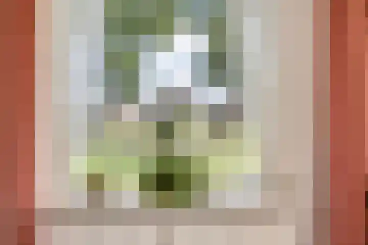 Valderseweg 7 Dwingeloo thumbnail 5