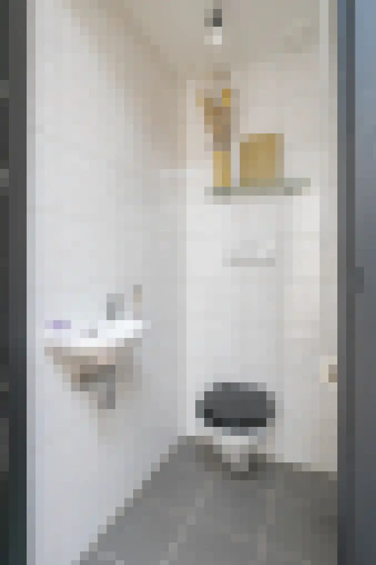 Valderstraat 6 b Stein thumbnail 14