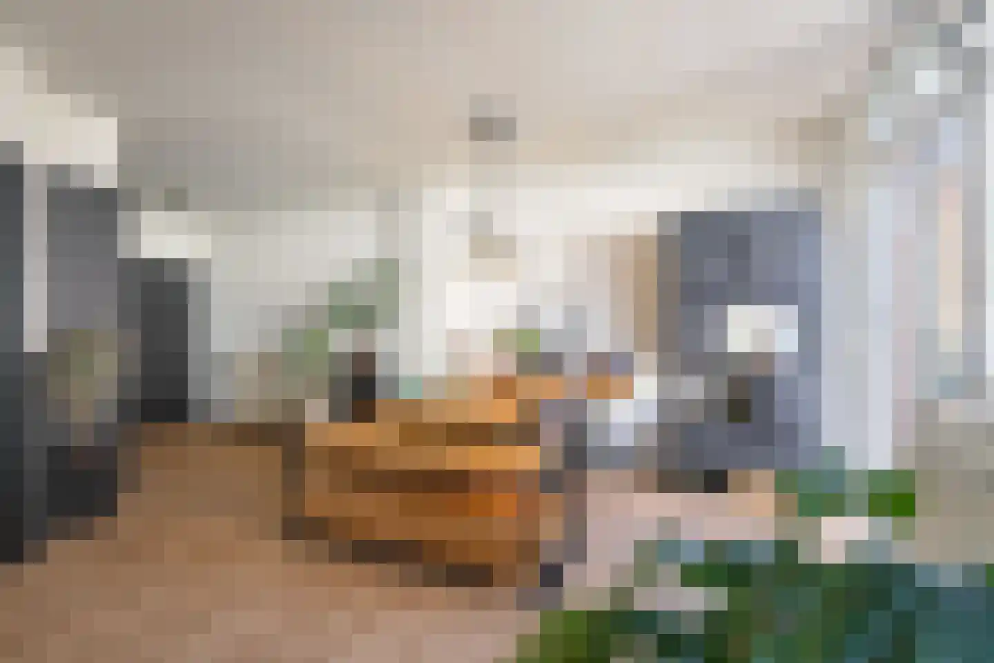 Valderstraat 6 b Stein thumbnail 7