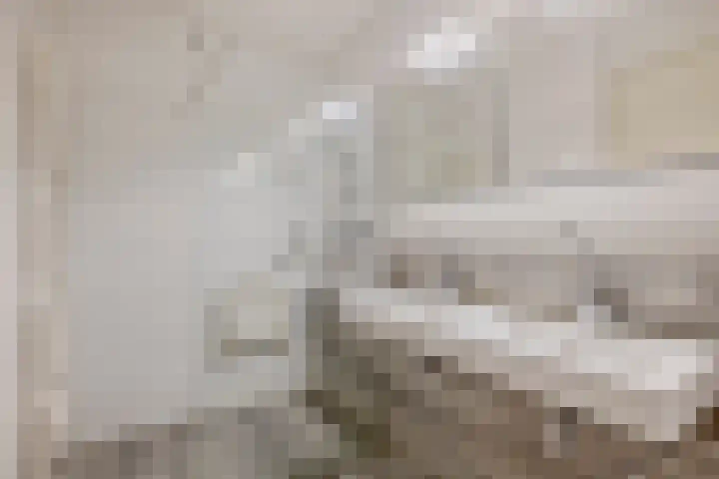 Valdijk 4 Prinsenbeek thumbnail 22