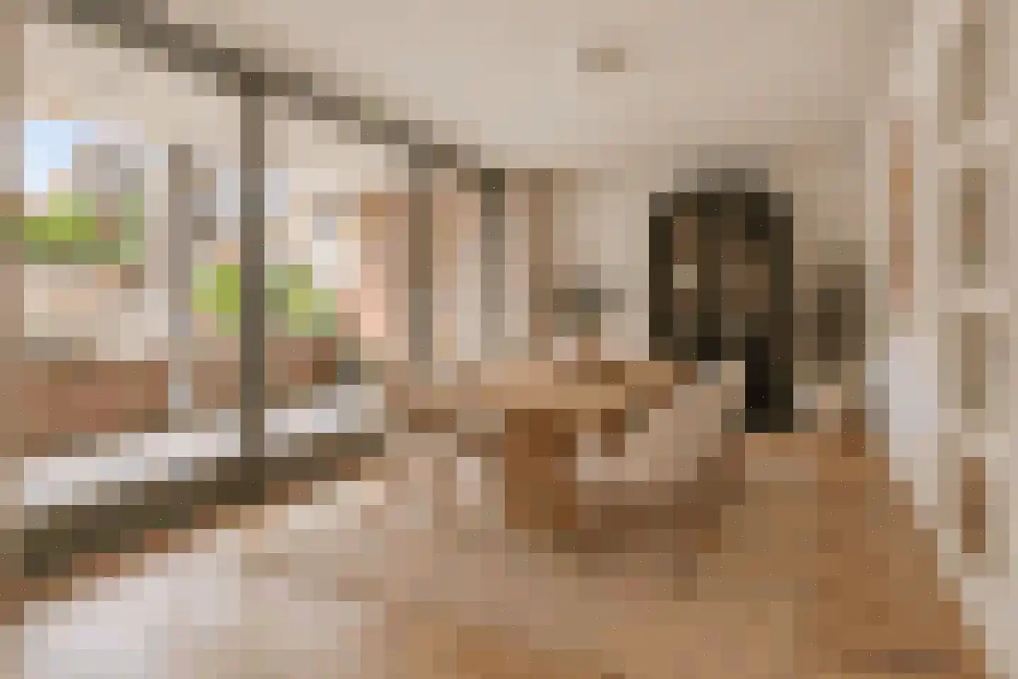 Valdijk 4 Prinsenbeek thumbnail 24