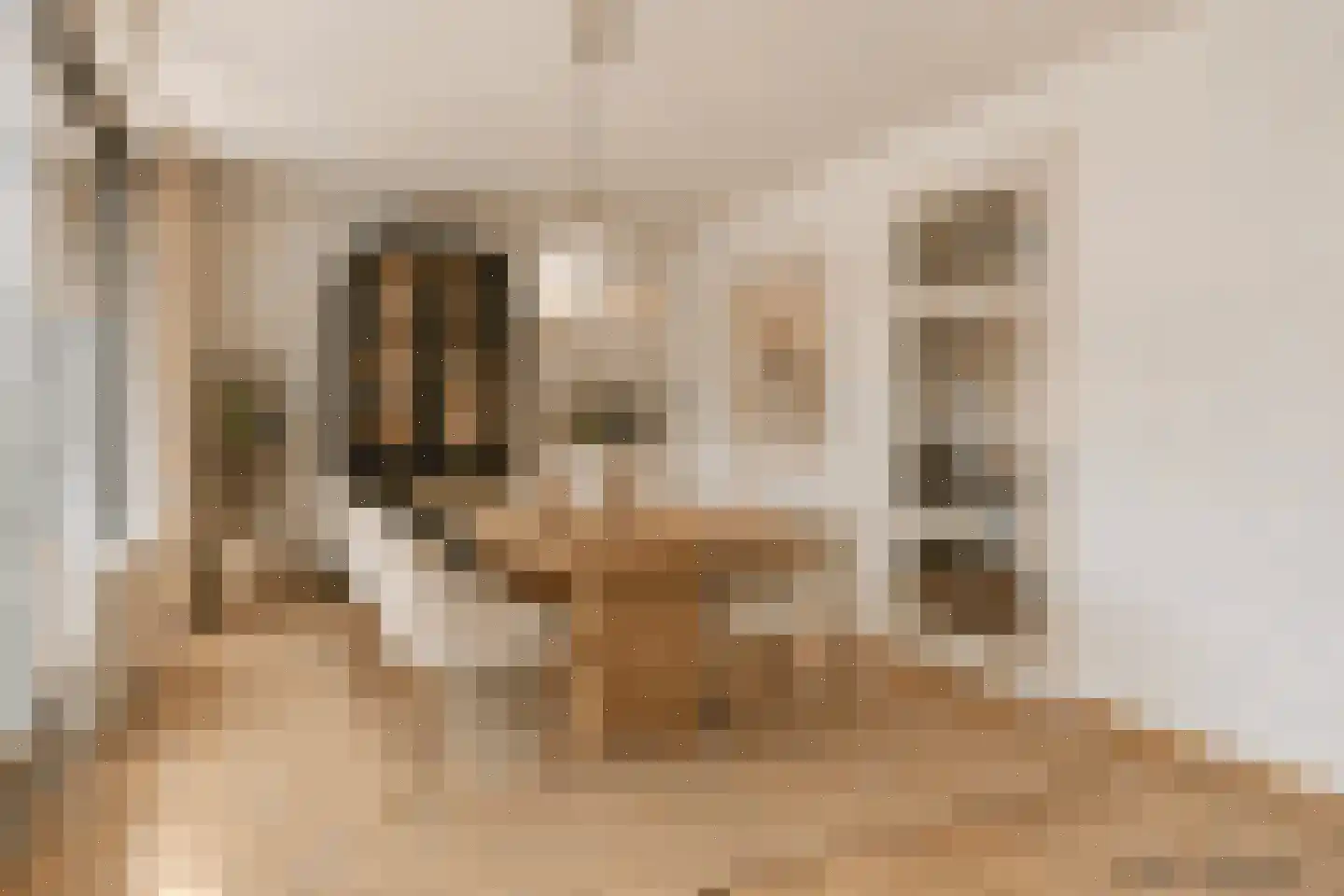 Valdijk 4 Prinsenbeek thumbnail 26