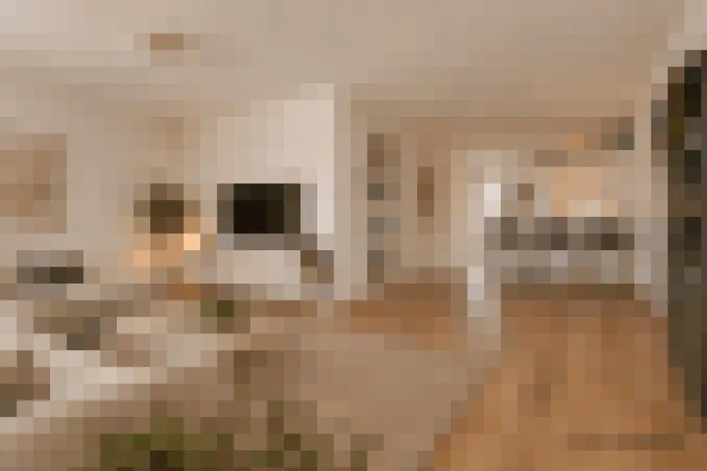 Valdijk 4 Prinsenbeek thumbnail 5