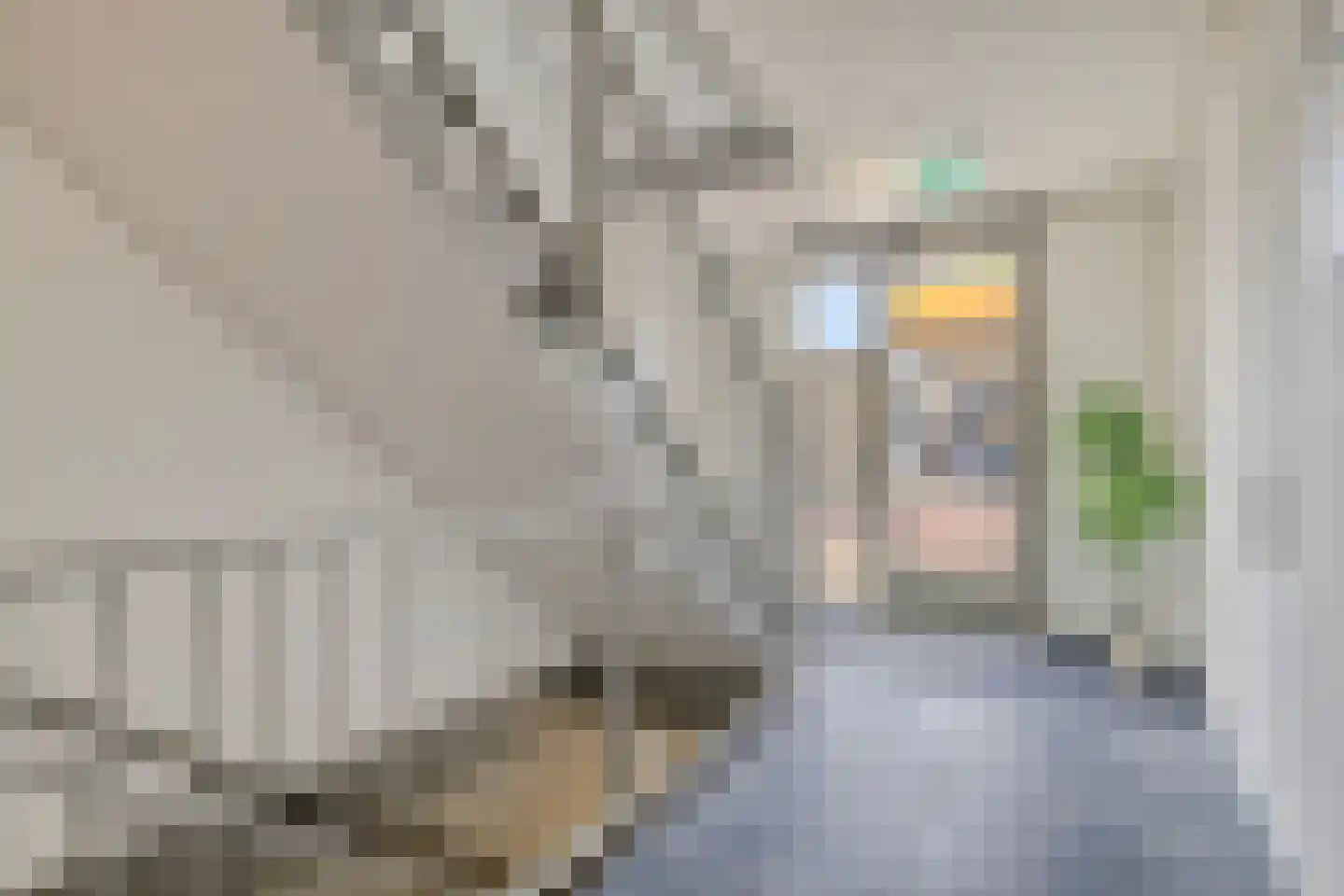 Valdijk 4 Prinsenbeek thumbnail 5