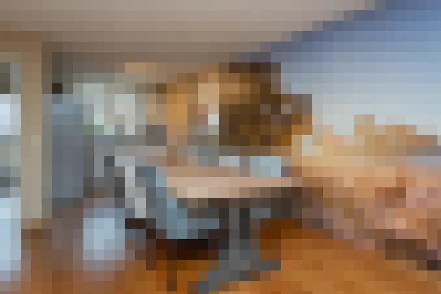 Vale Ouwelaan 132 't Harde thumbnail 20