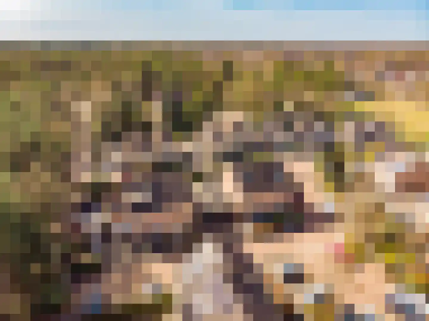 Vale Ouwelaan 132 't Harde thumbnail 5