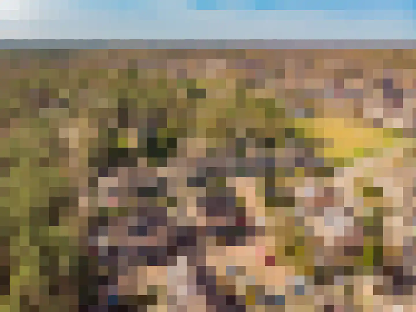 Vale Ouwelaan 132 't Harde thumbnail 57