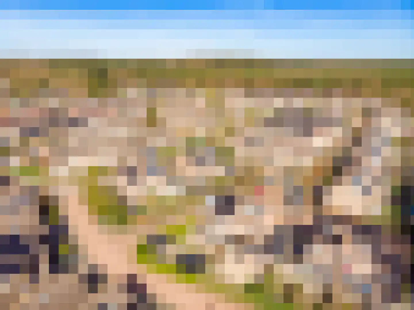 Vale Ouwelaan 132 't Harde thumbnail 59
