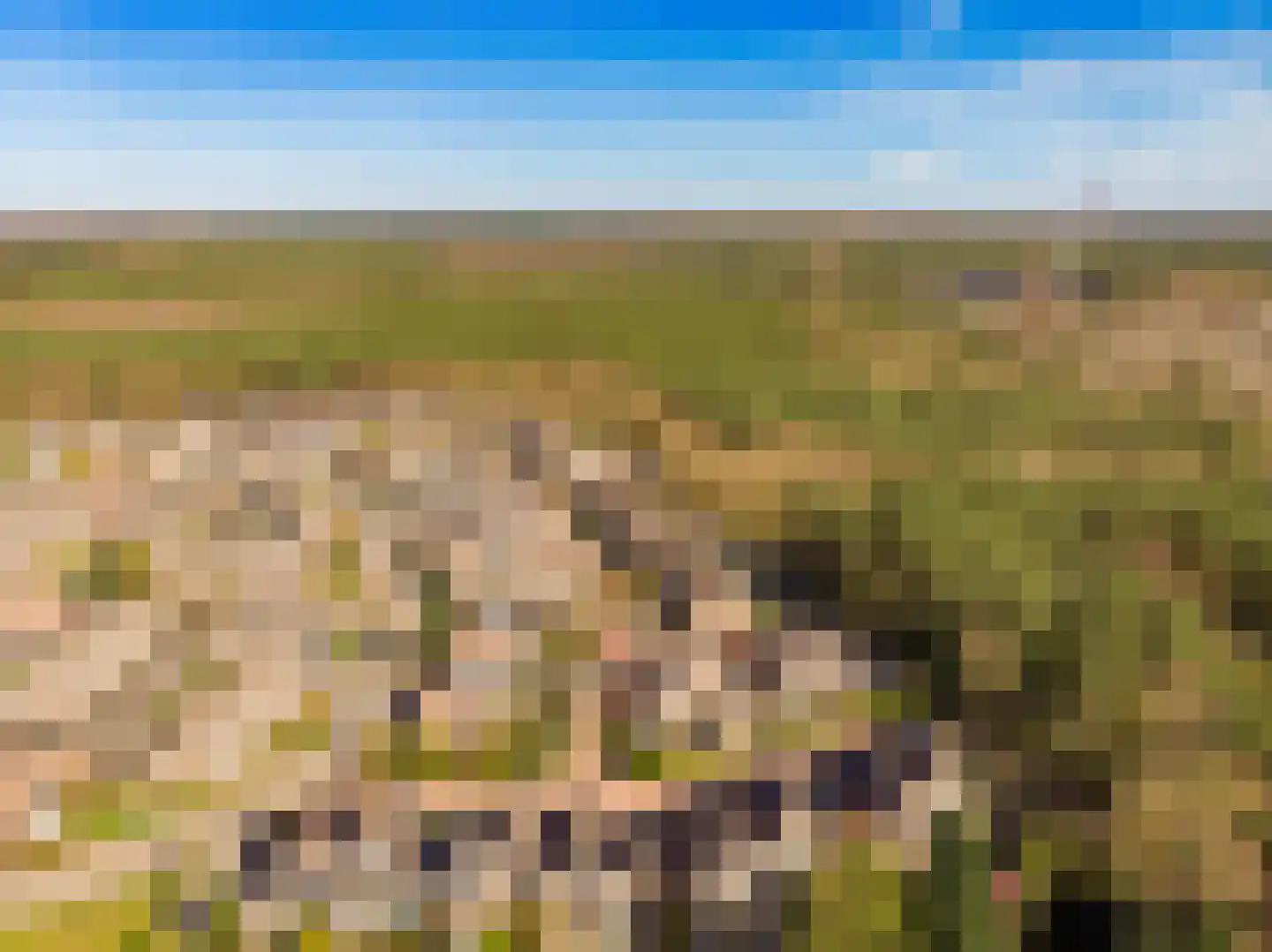 Vale Ouwelaan 132 't Harde thumbnail 60