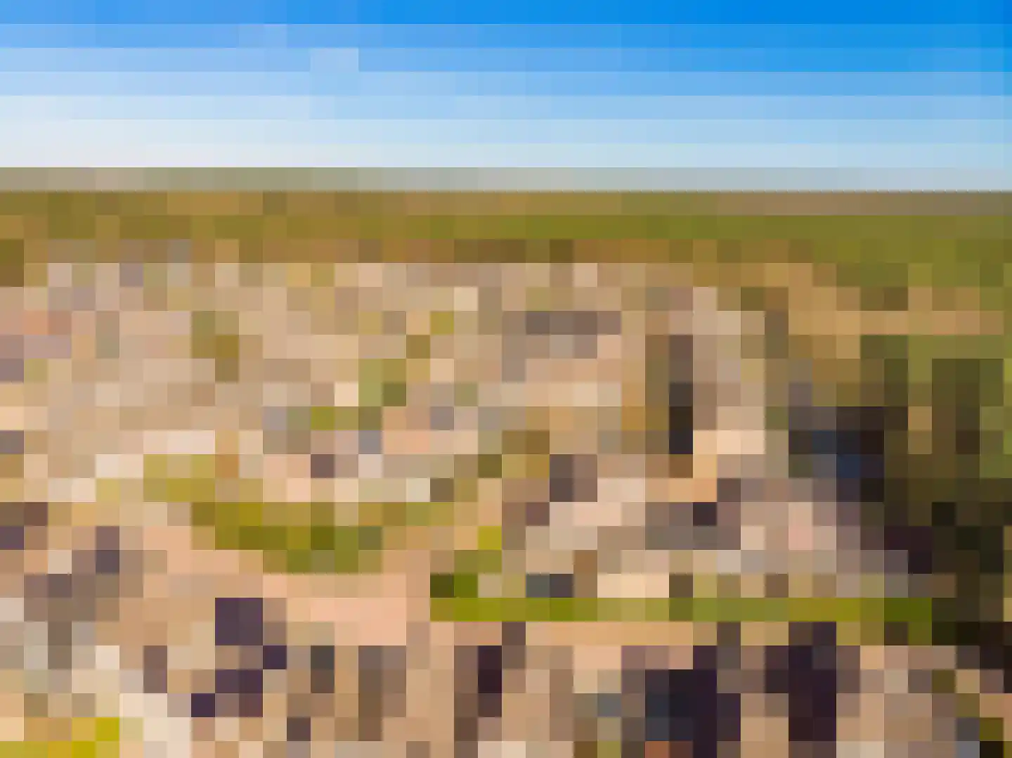 Vale Ouwelaan 132 't Harde thumbnail 61