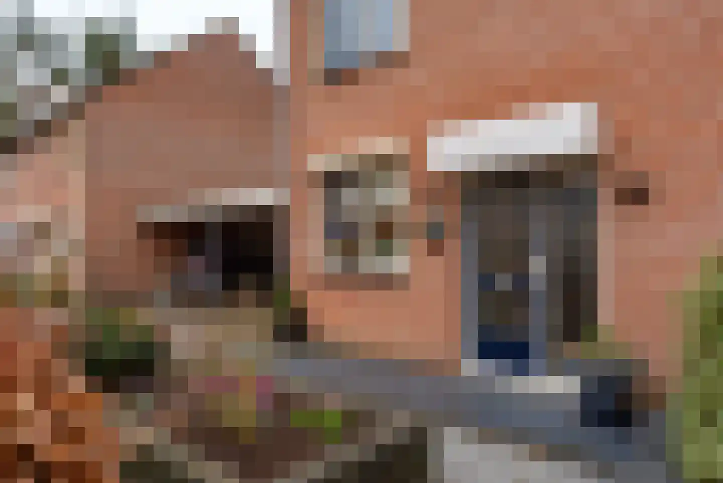 Vale Ouwelaan 132 't Harde thumbnail 7
