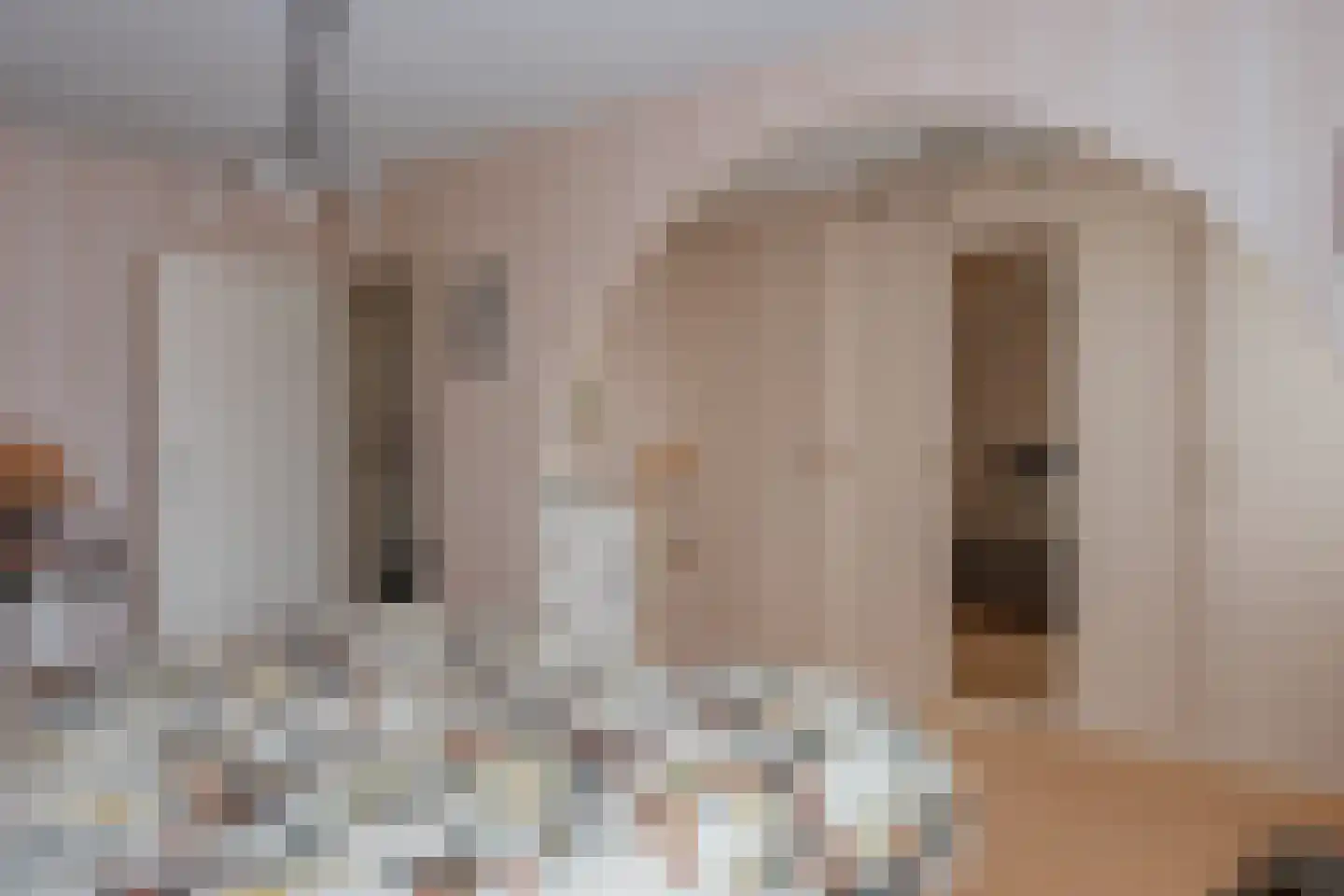 Vale Ouwelaan 138 't Harde thumbnail 23