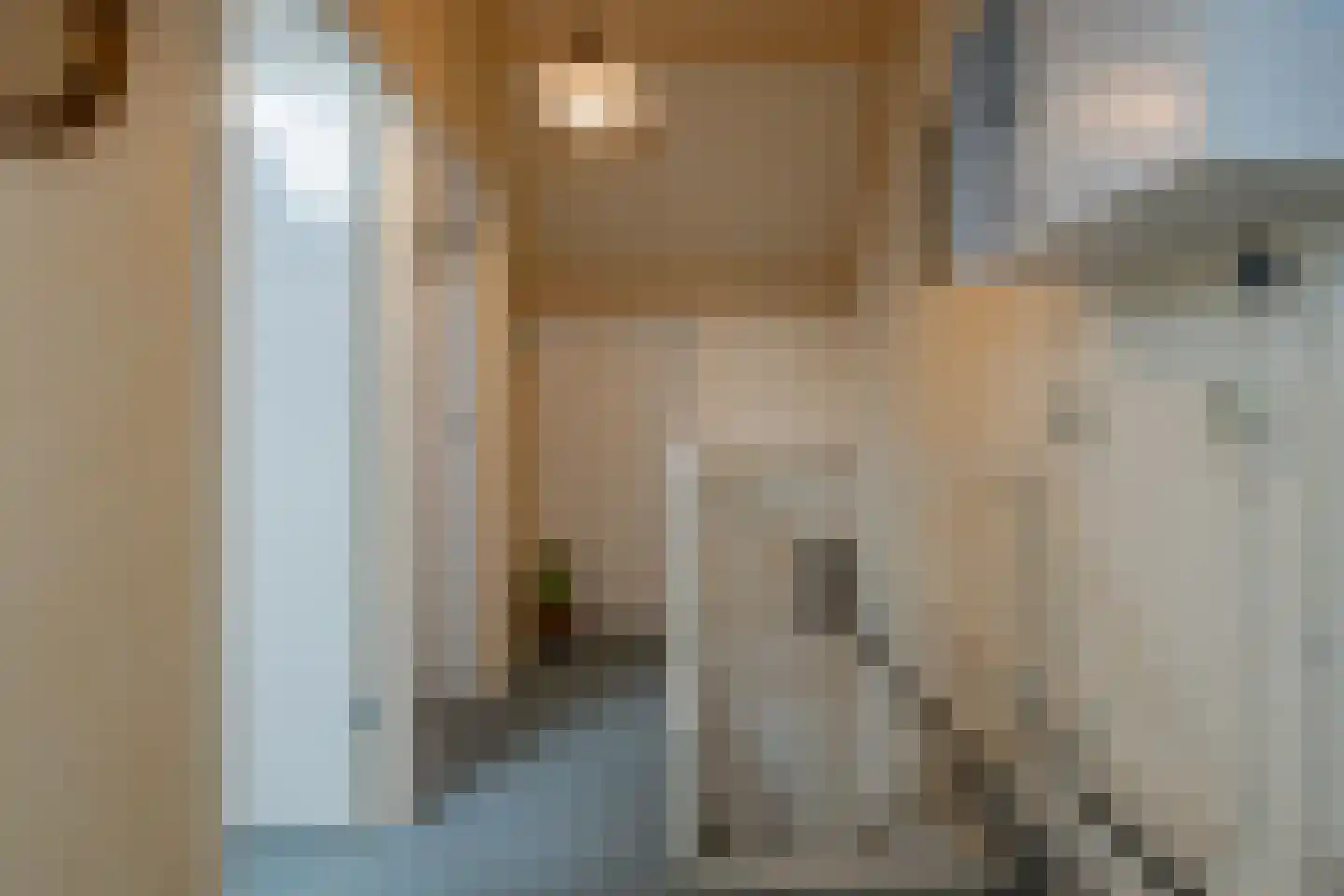 Vale Ouwelaan 138 't Harde thumbnail 32
