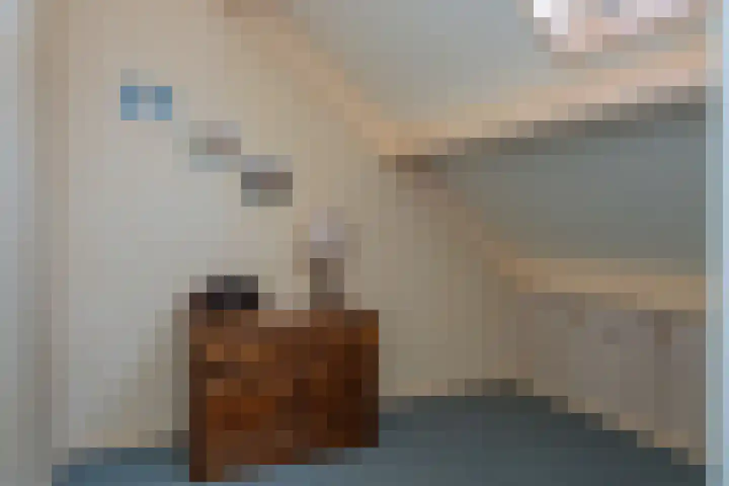 Vale Ouwelaan 138 't Harde thumbnail 35