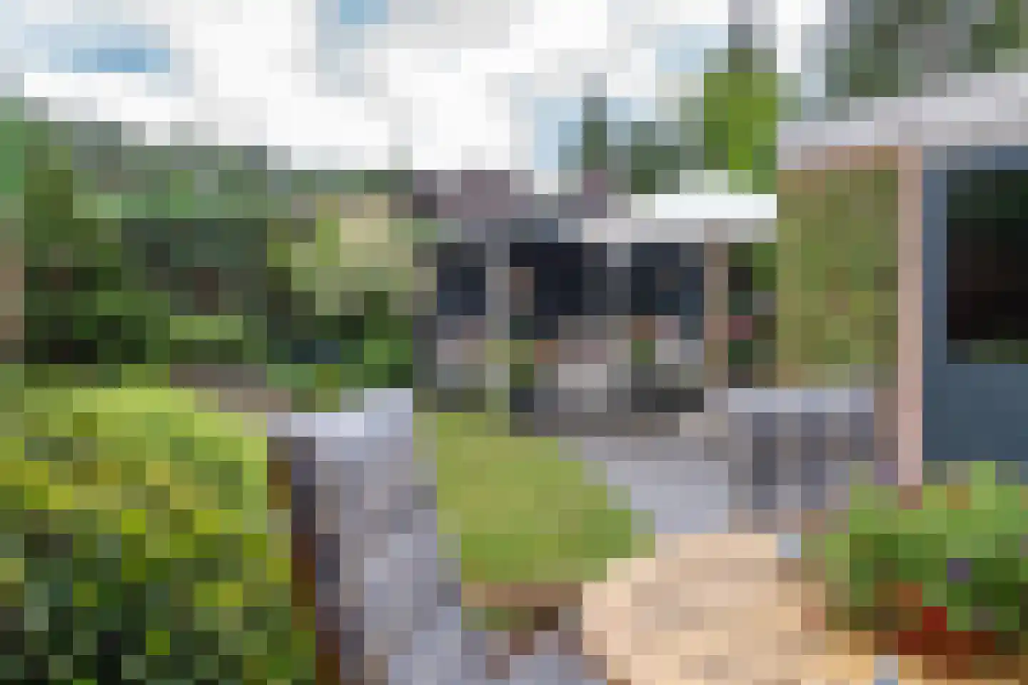 Vale Ouwelaan 138 't Harde thumbnail 42