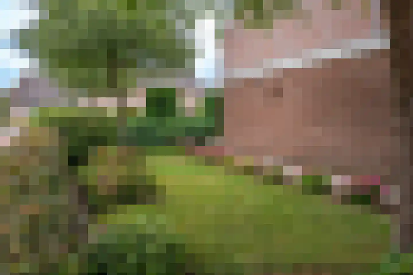 Vale Ouwelaan 138 't Harde thumbnail 48