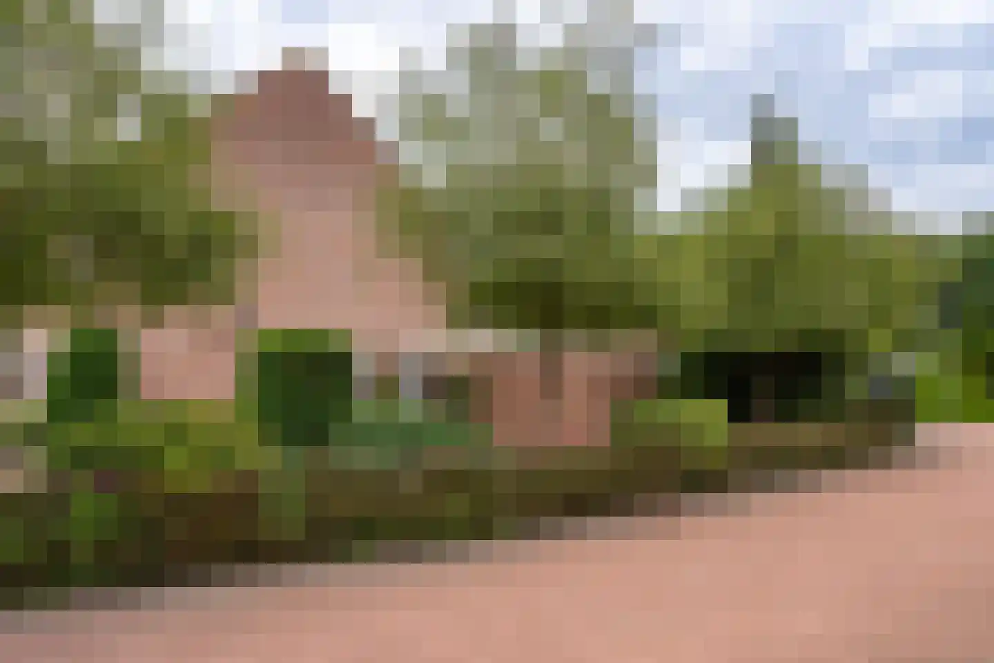 Vale Ouwelaan 138 't Harde thumbnail 49