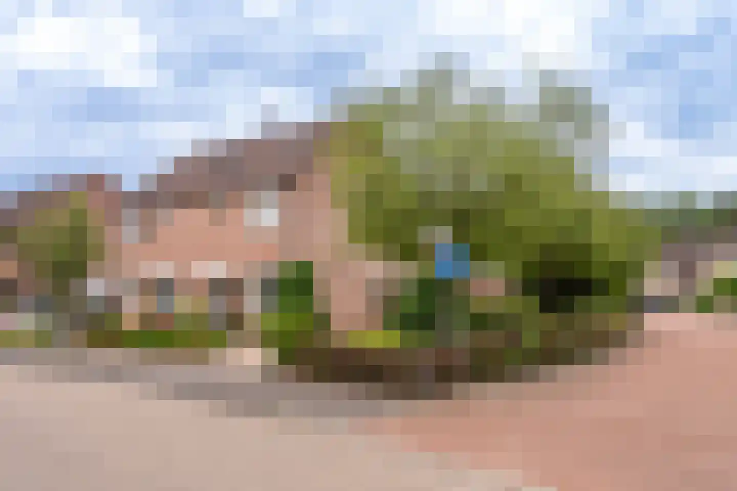 Vale Ouwelaan 138 't Harde thumbnail 50