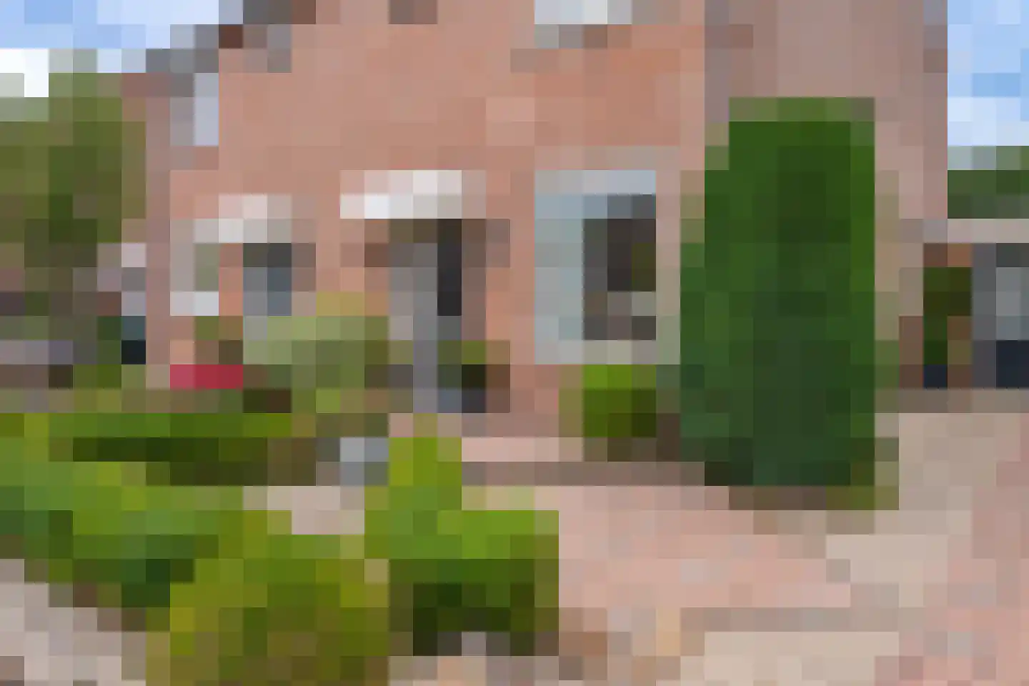Vale Ouwelaan 138 't Harde thumbnail 6
