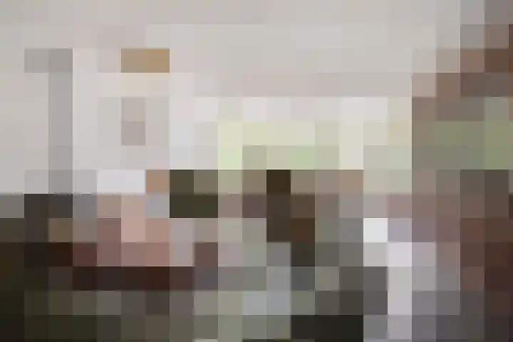Vale Ouwelaan 142 't Harde thumbnail 10