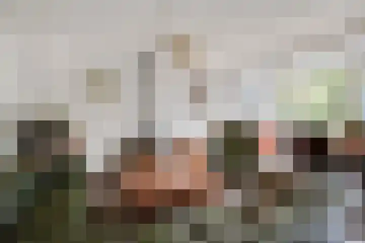 Vale Ouwelaan 142 't Harde thumbnail 11