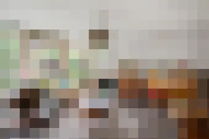 Vale Ouwelaan 142 't Harde thumbnail 14