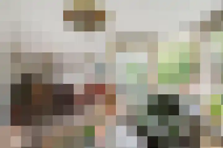 Vale Ouwelaan 142 't Harde thumbnail 16