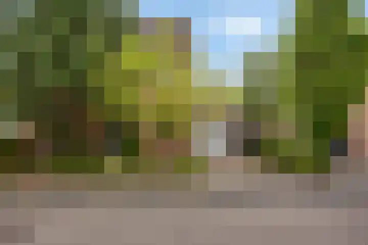 Vale Ouwelaan 142 't Harde foto 2