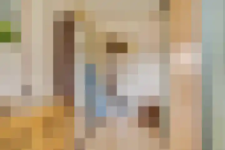 Vale Ouwelaan 142 't Harde thumbnail 25