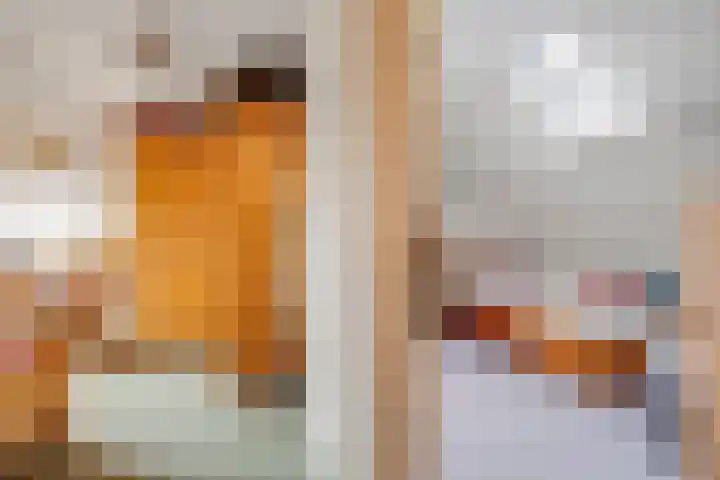 Vale Ouwelaan 142 't Harde thumbnail 32