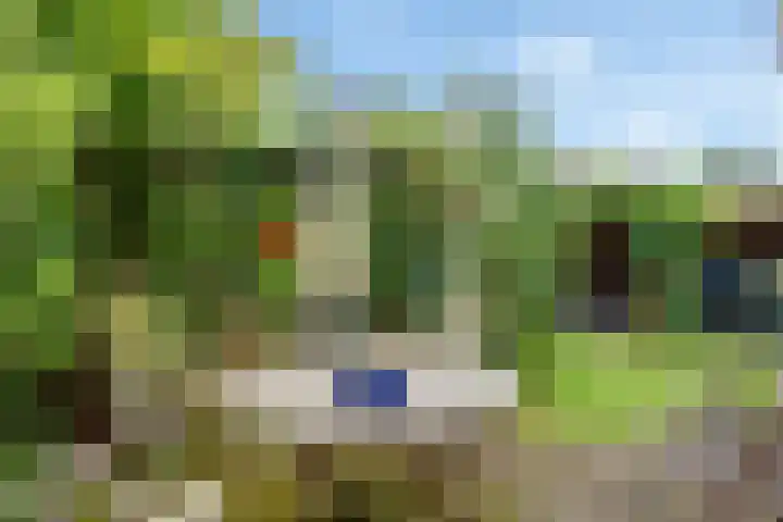 Vale Ouwelaan 142 't Harde thumbnail 36