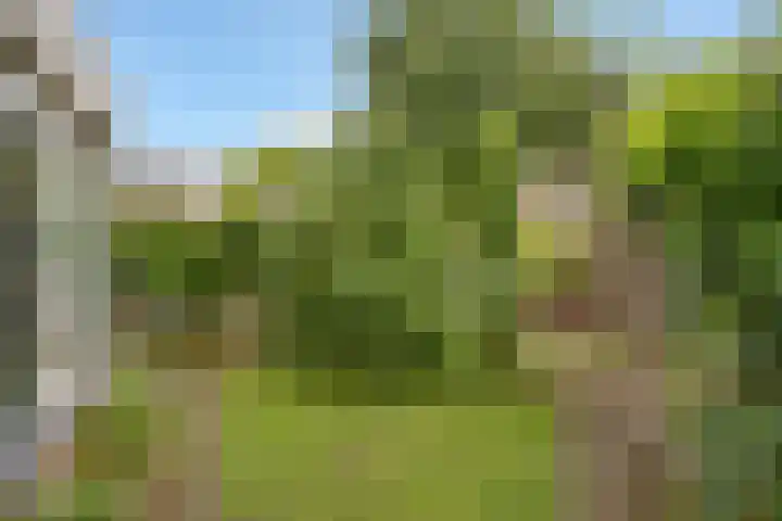 Vale Ouwelaan 142 't Harde thumbnail 38