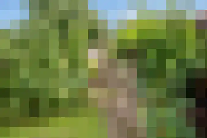 Vale Ouwelaan 142 't Harde thumbnail 39