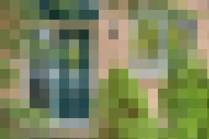 Vale Ouwelaan 142 't Harde thumbnail 4