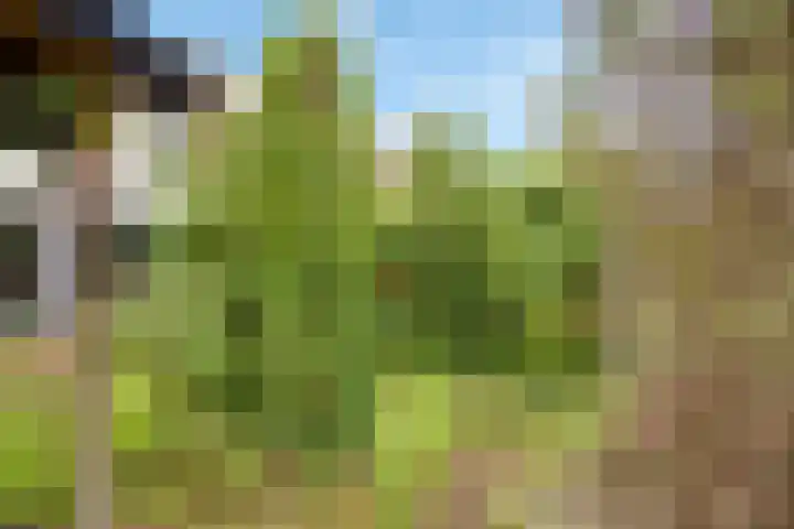 Vale Ouwelaan 142 't Harde thumbnail 41