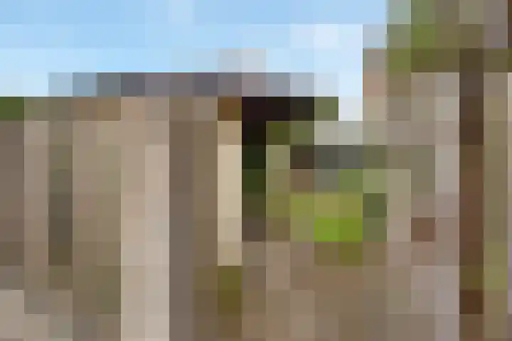 Vale Ouwelaan 142 't Harde thumbnail 42