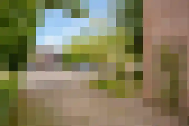Vale Ouwelaan 142 't Harde thumbnail 43