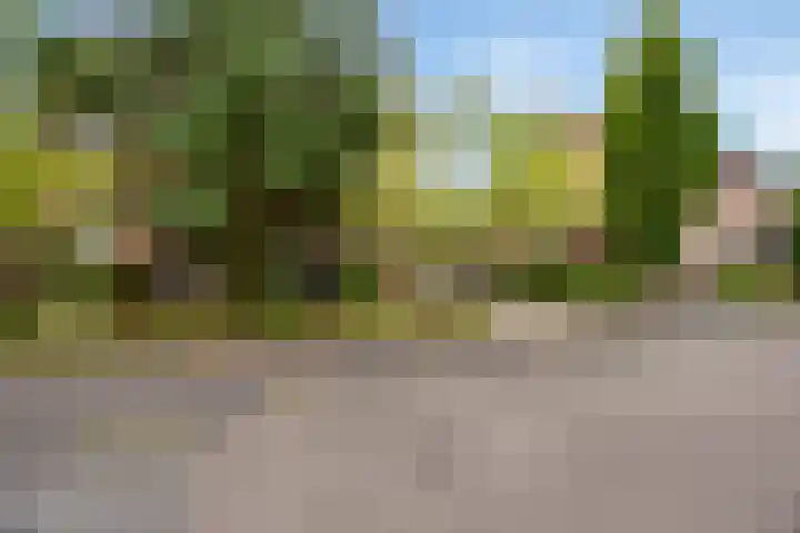 Vale Ouwelaan 142 't Harde thumbnail 44