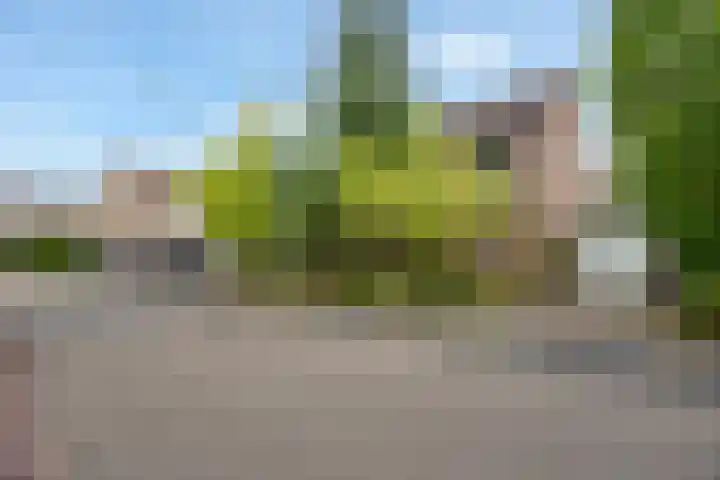 Vale Ouwelaan 142 't Harde thumbnail 45