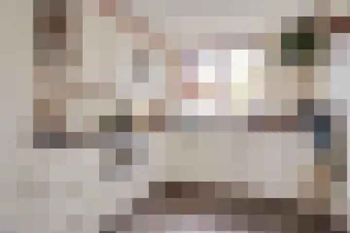 Vale Ouwelaan 142 't Harde thumbnail 8