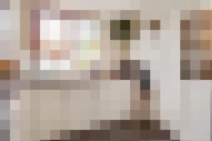 Vale Ouwelaan 142 't Harde thumbnail 9