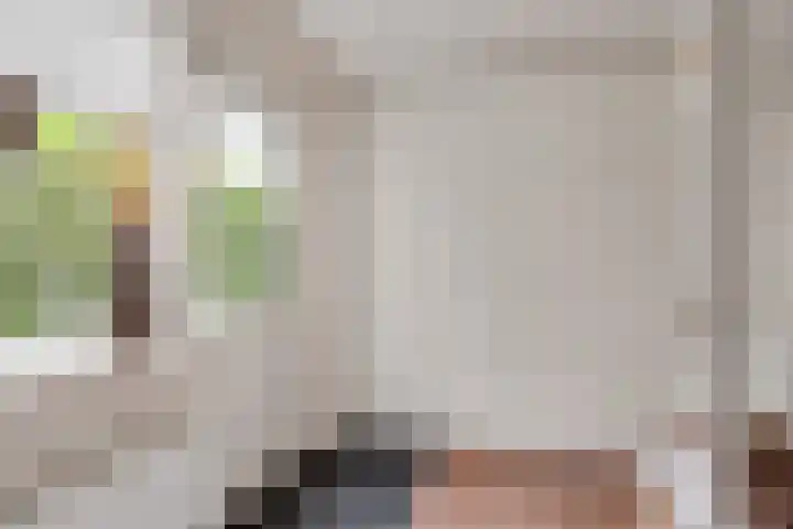 Vale Ouwelaan 162 't Harde thumbnail 12