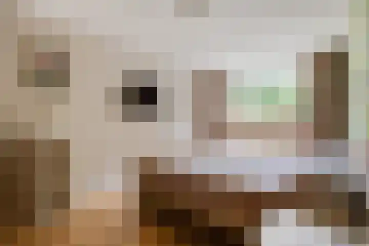 Vale Ouwelaan 162 't Harde thumbnail 20
