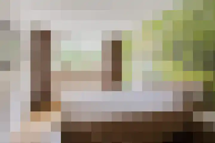 Vale Ouwelaan 162 't Harde thumbnail 21