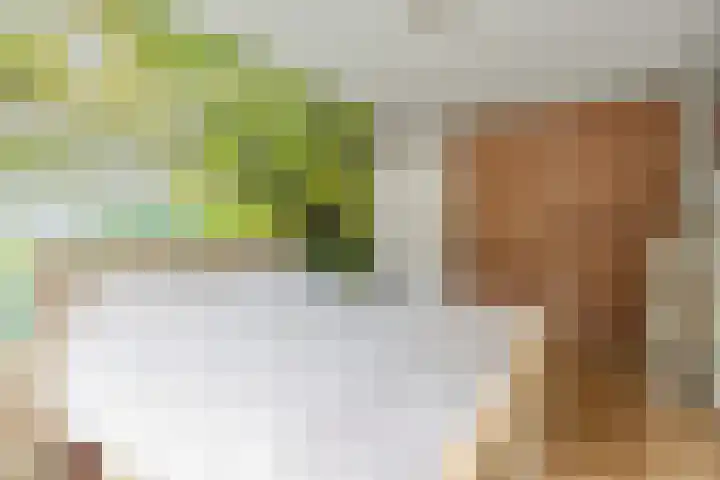 Vale Ouwelaan 162 't Harde thumbnail 22