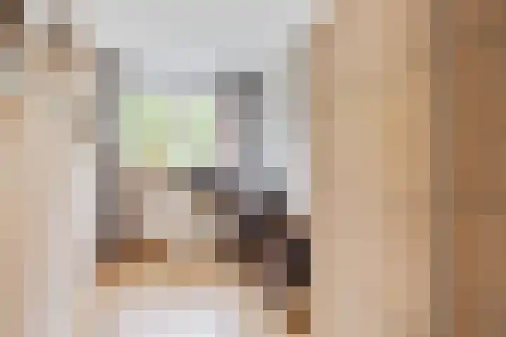 Vale Ouwelaan 162 't Harde thumbnail 23