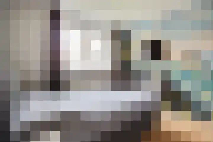 Vale Ouwelaan 162 't Harde thumbnail 25