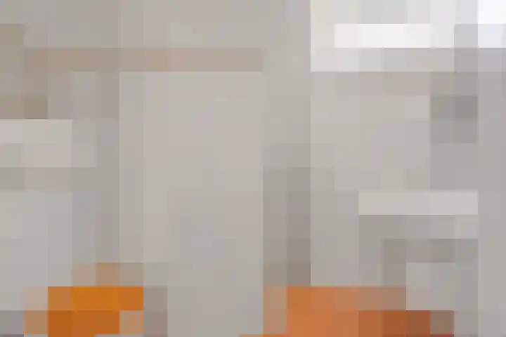 Vale Ouwelaan 162 't Harde thumbnail 27