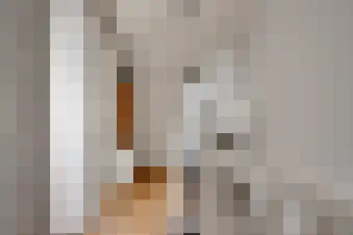 Vale Ouwelaan 162 't Harde thumbnail 31